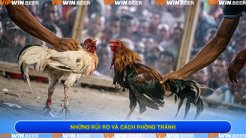 Những Rủi Ro Và Cách Phòng Tránh