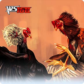 we168